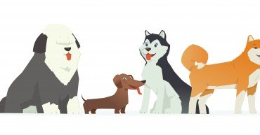 Cute dogs - modern vector cartoon characters illustration on white background. Different breeds of these pets, dachshund, bobtail, husky, akita inu. High quality composition for your banner, poster